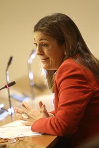 El PSOE dice que el pacto CiU-ERC busca una salida personal para sus protagonistas pero no ofrece estabilidad