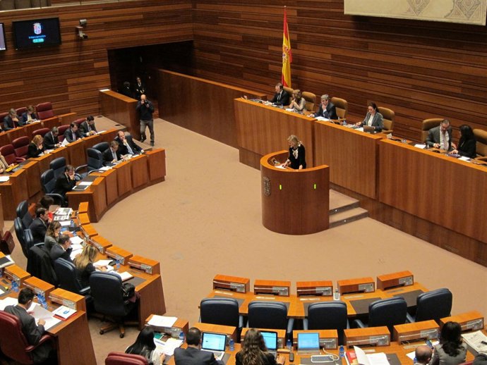 Pilar del Olmo defiende los PGC en las Cortes