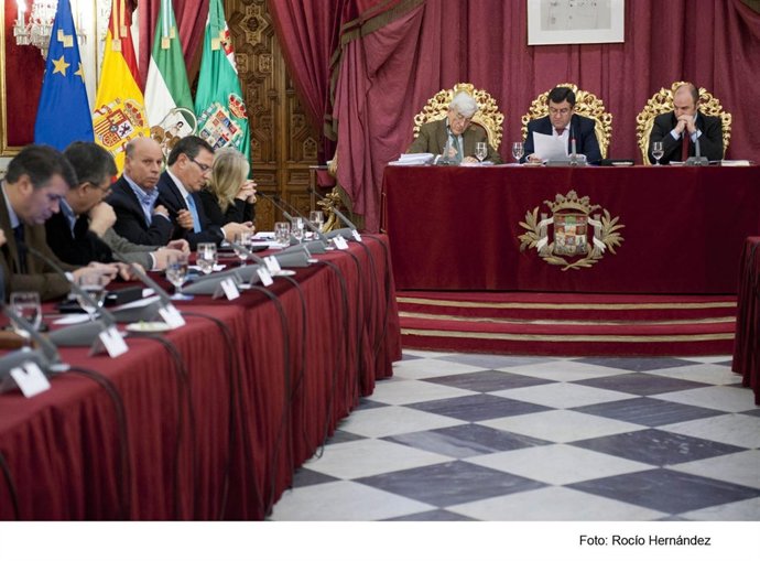 Ultimo Pleno de Diputación en 2012