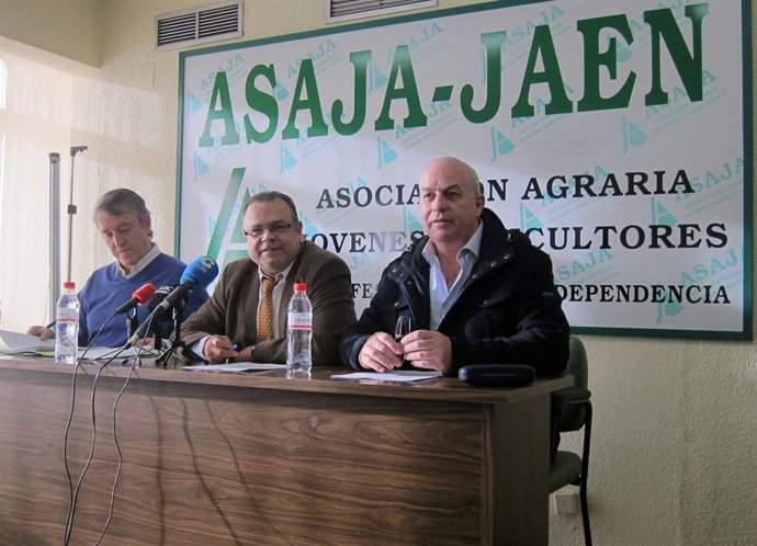 Cristóbal Gallego, Francisco Molina y Luis Carlos Valero hacen balance de 2012.