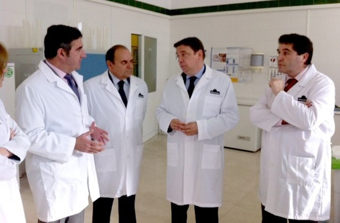 Consejero de Agricultura, Pesca y Medio Ambiente, Luis Planas, visita Oleoestepa