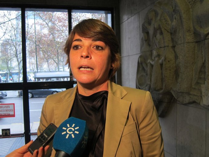 La consejera de Fomento y Vivienda, Elena Cortés