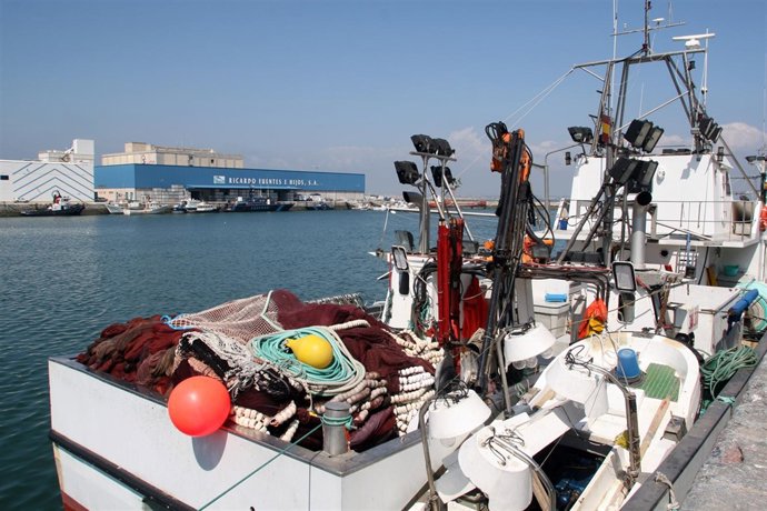 Puerto de Cádiz