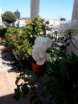 Arcadia Jardines y Paisajes 