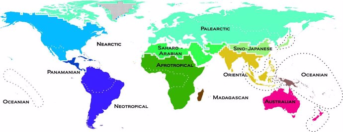 Mapa natural de la Tierra