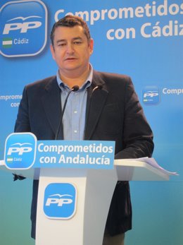 Antonio Sanz, presidente del PP en Cadiz