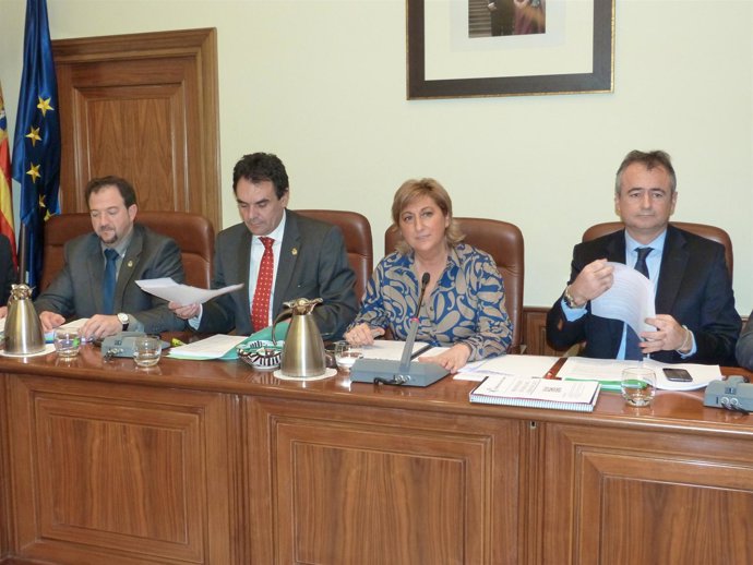 La DPT ha celebrado pleno este viernes