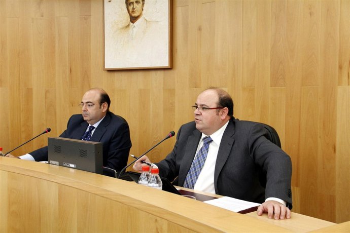 Imagen del pleno de la Diputación de Granada hoy