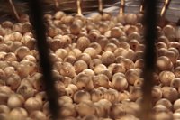 El Gordo' ha visitado 11 ciudades de C-LM, siendo Molina de Aragón la primera agraciada y Talavera la última