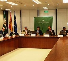 Consejo Rector del Consorcio Fernando de los Ríos.