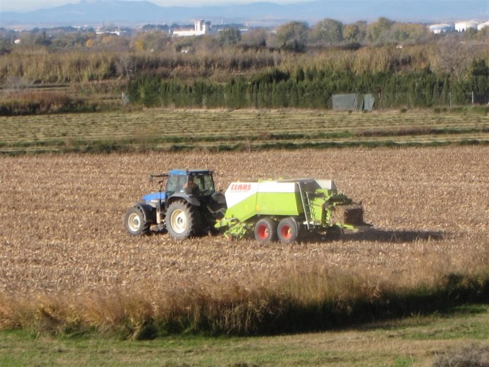 El PSOE pide más apoyo al sector