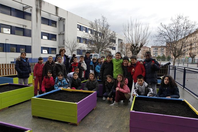 Escolares del colegio Cardenal Ilundáin con la nueva huerta.