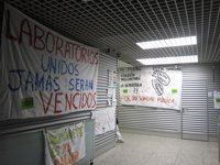 Sanidad cifra el seguimiento de huelga en Sanidad en un 12,8% y Afem en un 67% 