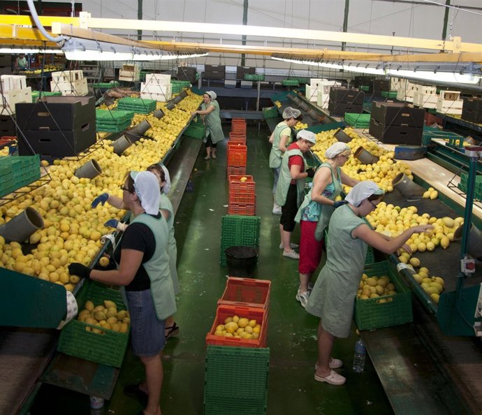 Una cooperativa agraria