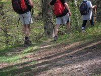 El turismo de interior y los viajes rurales, los preferidos por el consumidor en 2012