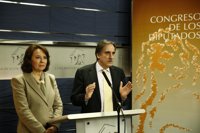 El PSOE insta al Gobierno a recapitalizar Bankia para evitar el contagio