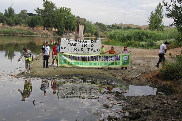 Peces Muertos En El Río Tajo