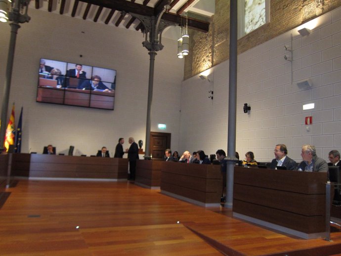 Pleno de la Diputación Provincial de Zaragoza (DPZ)