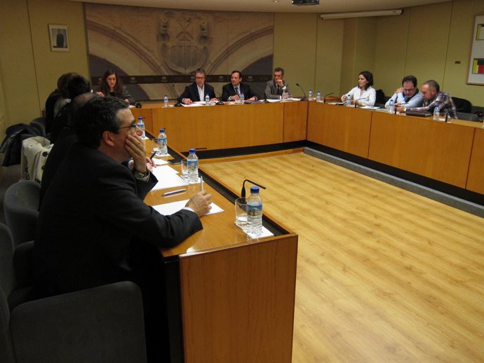 Erro en la comparecencia del Parlamento