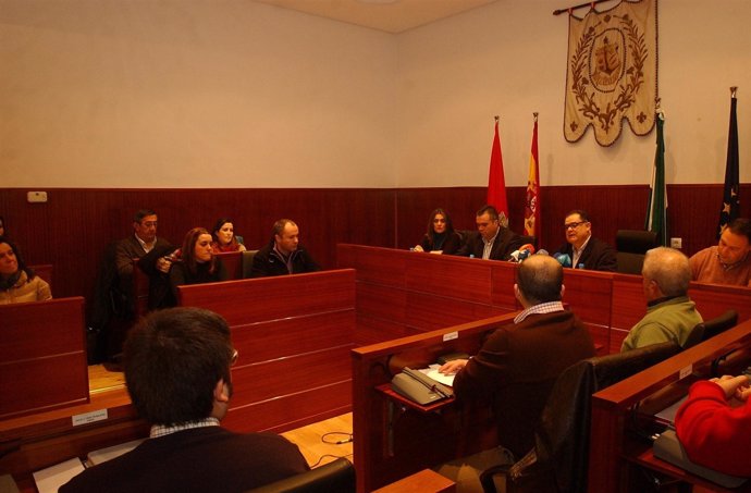 Lectura de la declaración institucional en el Ayuntamiento de La Palma. 