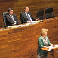 Foro critica unas cuentas "continuistas" basadas en la economía "subvencionada"