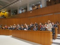 Rudi afirma que respeta al parlamento y sus servicios jurídicos y "no cojo pataletas cuando no me dan la razón"