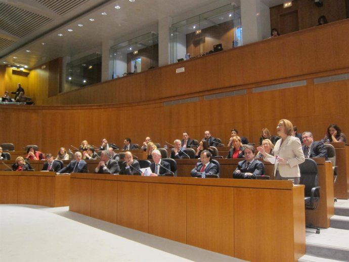 Rudi interviene en el pleno de las Cortes de Aragón