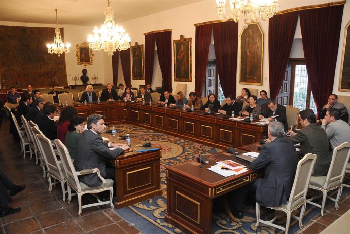 Momento del Pleno de la Diputación