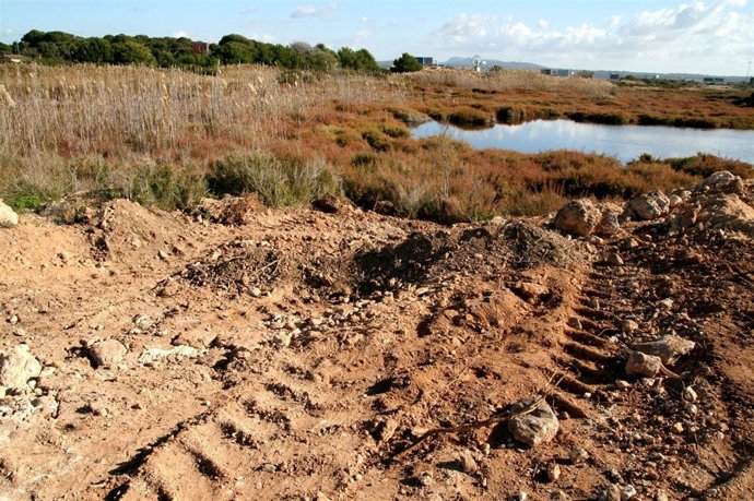 Obras en Ses Fontanelles