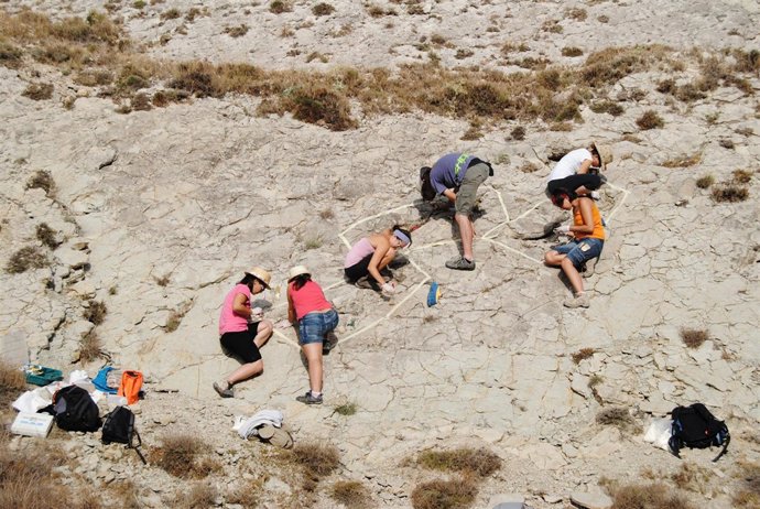 La IV edición de la Escuela Taller de Restauración Paleontológica.