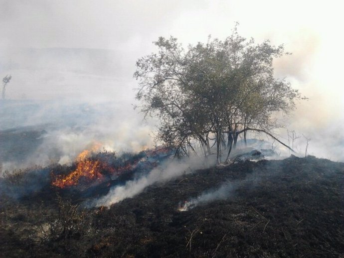 Incendio. Imagen de archivo