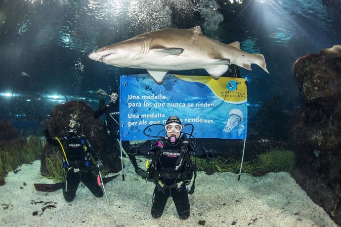 Mireia Belmonte desea un "feliz 2013" entre tiburones