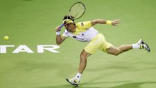 David Ferrer