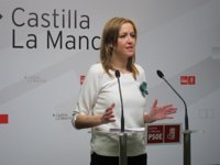 El PSOE pedirá que Echániz comparezca en las Cortes para que explique la muerte de la menor tutelada por la Junta