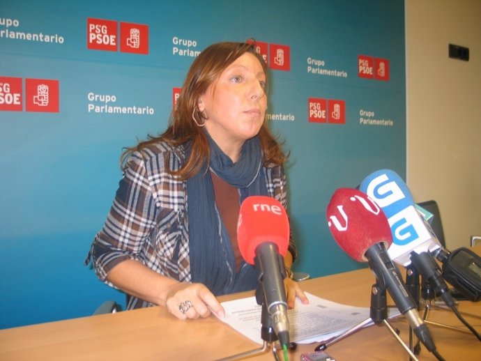 OS SOCIALISTAS ESIXENLLE A FEIJOO QUE NON APROBE O ORZAMENTO DO 2013 PORQUE CONS