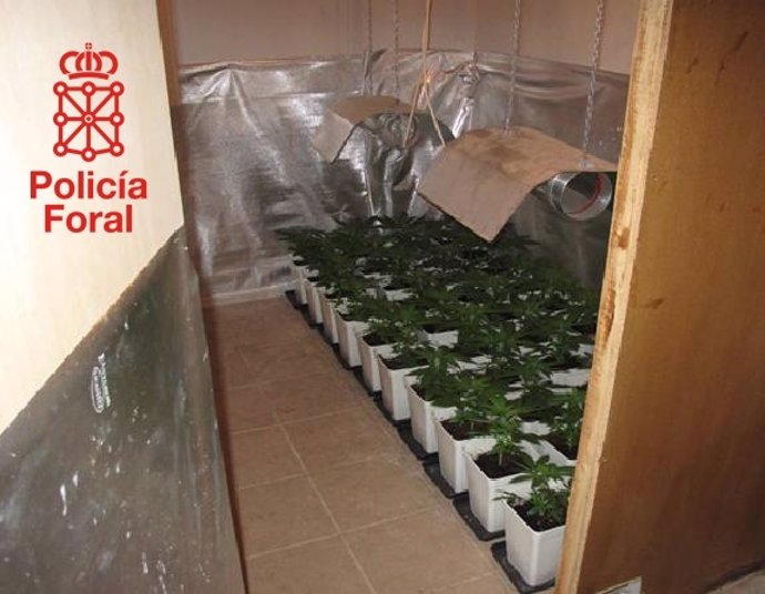 Uno de los laboratorios de cultivo de marihuana localizados.