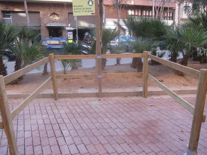 Punto de recogida de árboles en el Eixample de Barcelona