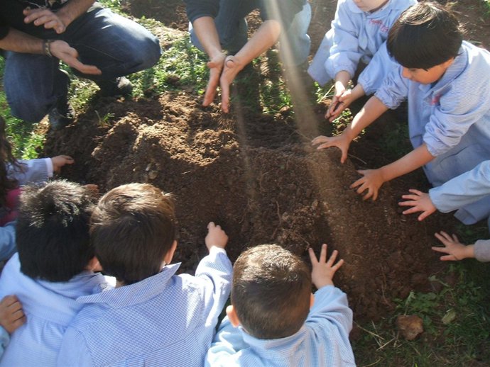 Actividades en 'Los Viveros'