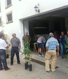 Entrega de árboles frutales