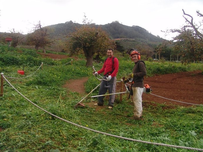 Labores de limpieza en la pista deportiva