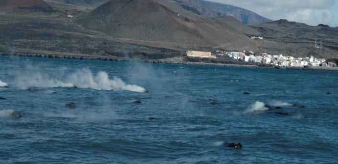 Volcán Submarino De El Hierro