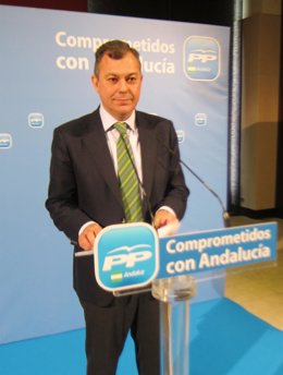 El secretario general del PP-A, José Luis Sanz, hoy en rueda de prensa