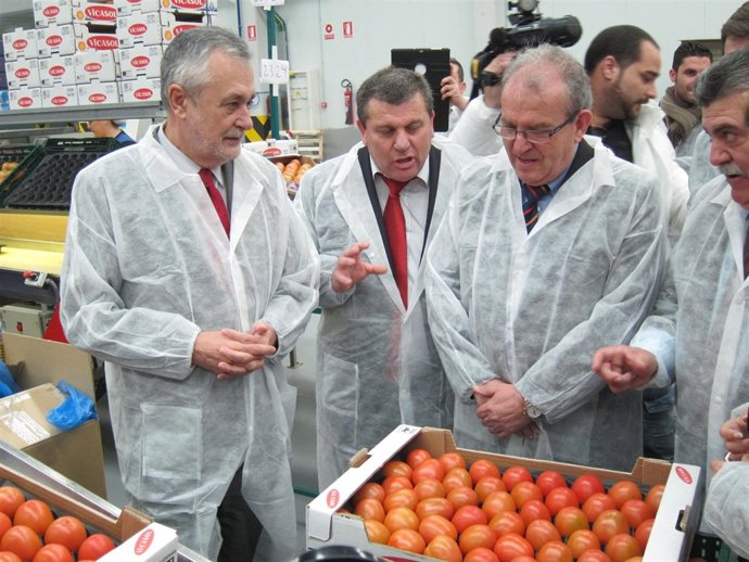 El presidente de la Junta en la cooperativa Vicasol