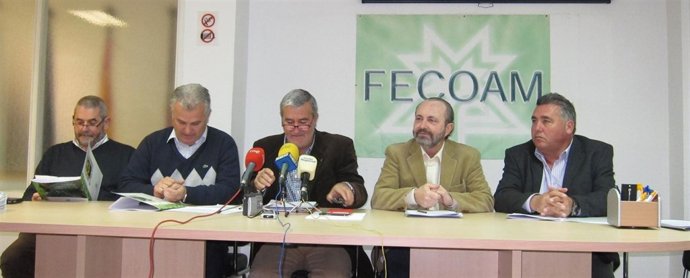 Llamas, Hortelano, Martínez, Sánchez y Pedrero