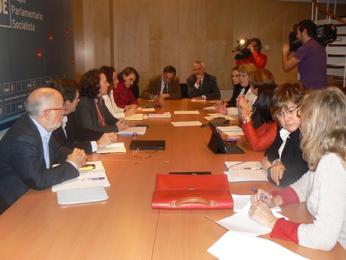 El Grupo Socialista crea el Observatorio de la Reforma Laboral