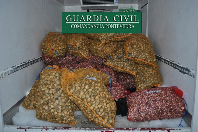 Berberecho irregular interceptado