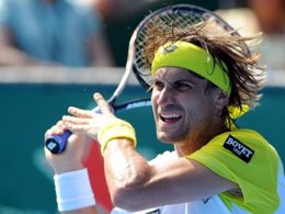 David Ferrer Auckland