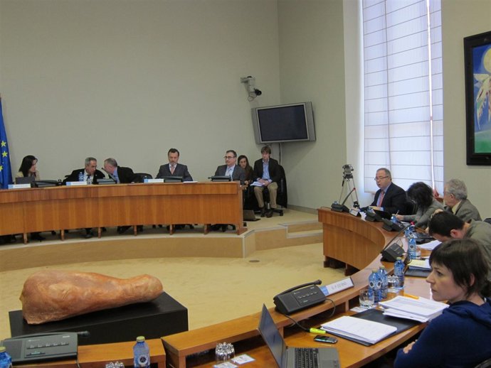 Agustín Hernández comparece en comisión