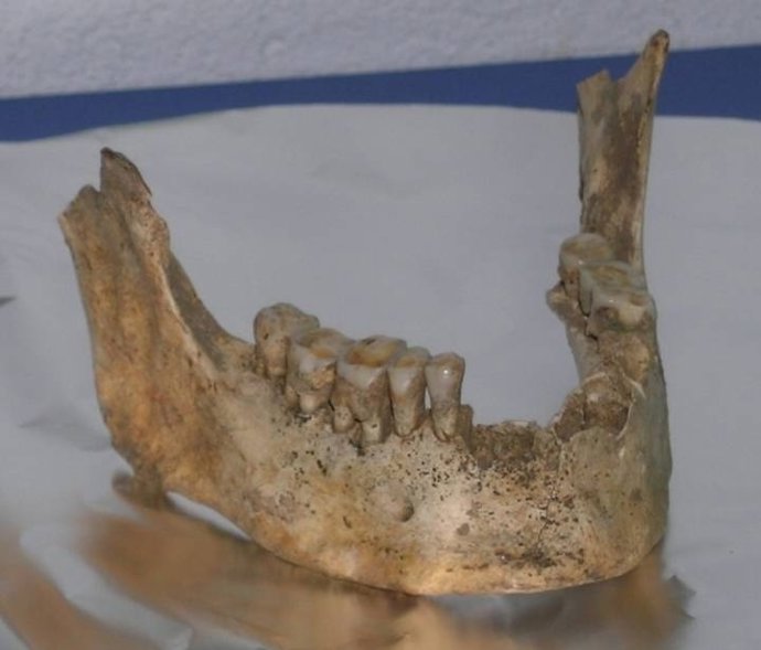 Mandíbula de Homo sapiens hallada en la cueva de Santimamiñe.