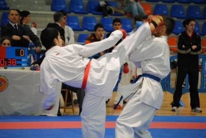 Federación de Kárate de CyL